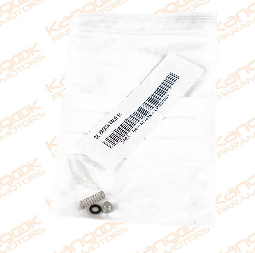 AT147k | Oil Breath Valve Kit - Image 2